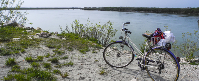 ecoturismo sul delta del po